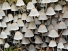 Fairies Bonnets